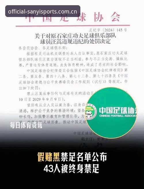中国足协第三批禁足名单深度分析：17人终身禁赛背后的足球乱象与三亿体育平台体验评测